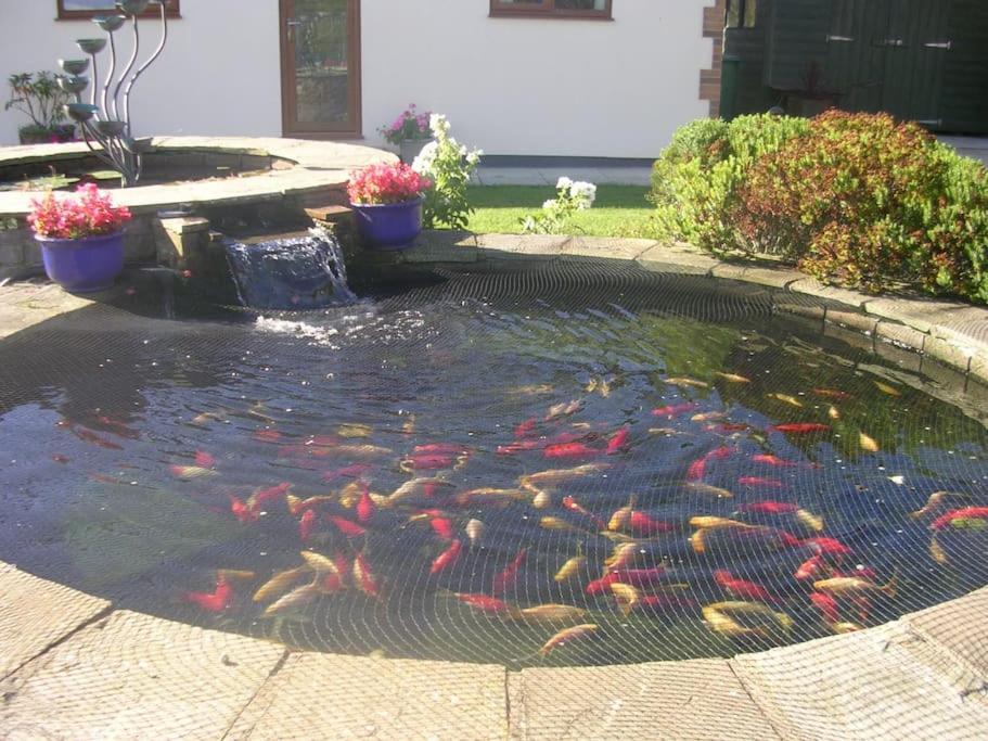 Coastal Garden Lodge Preesall Bagian luar foto
